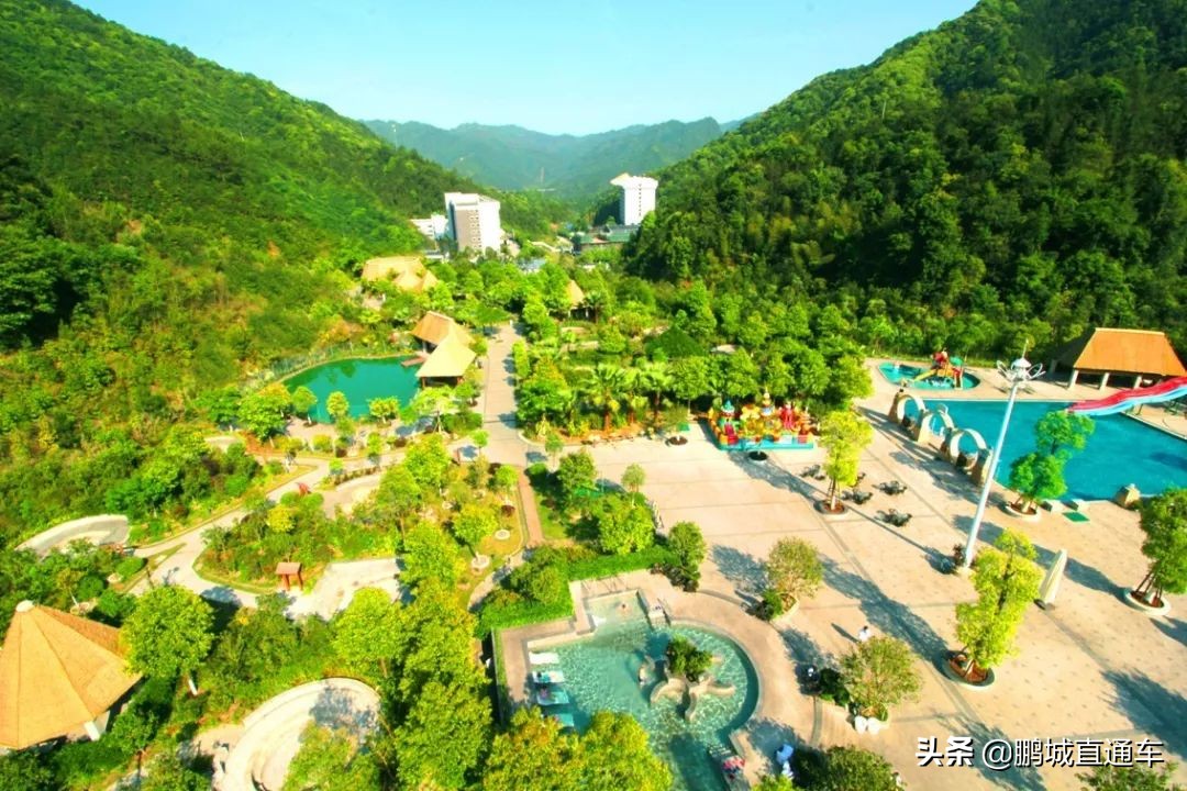 不用去日本就能去的猫岛,不用去日本的海边