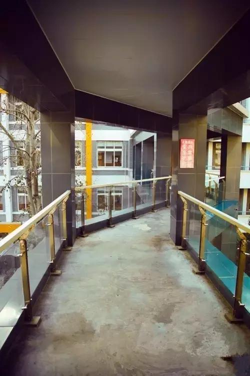 山师附中,山师附中历下区