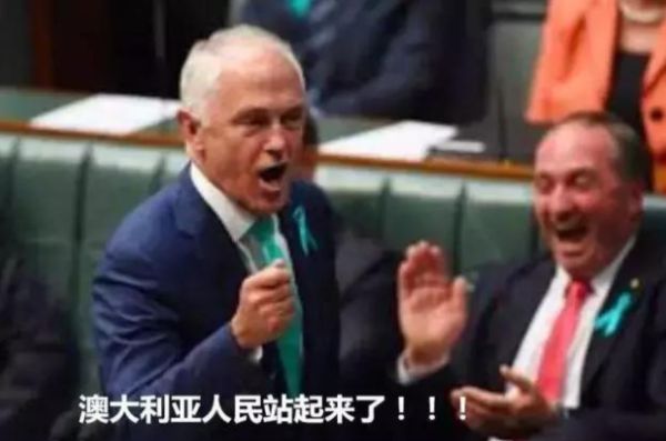 为了中国,澳洲跟美国“翻脸”了!多种农产品出口受阻,这回知道疼了?