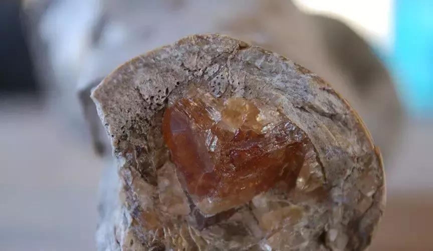 耶鲁大学教授：吃鱼不如吃骨髓！想变聪明、变漂亮最好去吃骨髓！