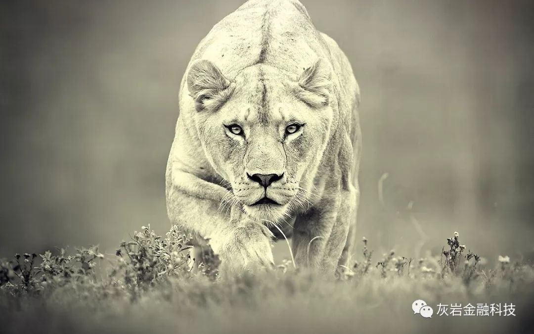 交易心理需要反观人性和内心,交易心理修炼