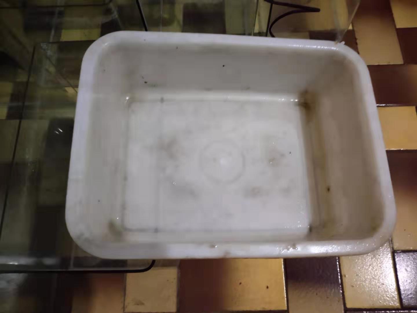 前置过滤器的优点和缺点是什么,人工鼻过滤器有什么优点与缺点