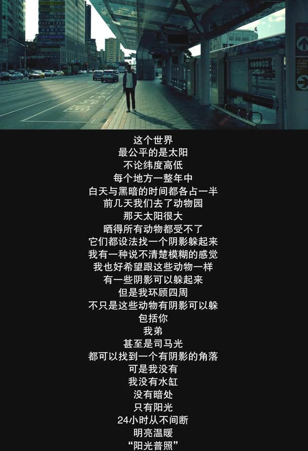 阳光普照悲剧背后的真相,阳光普照中的家庭价值观念