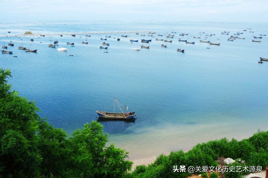 辽宁省长海县海参,长海县獐子野生海参