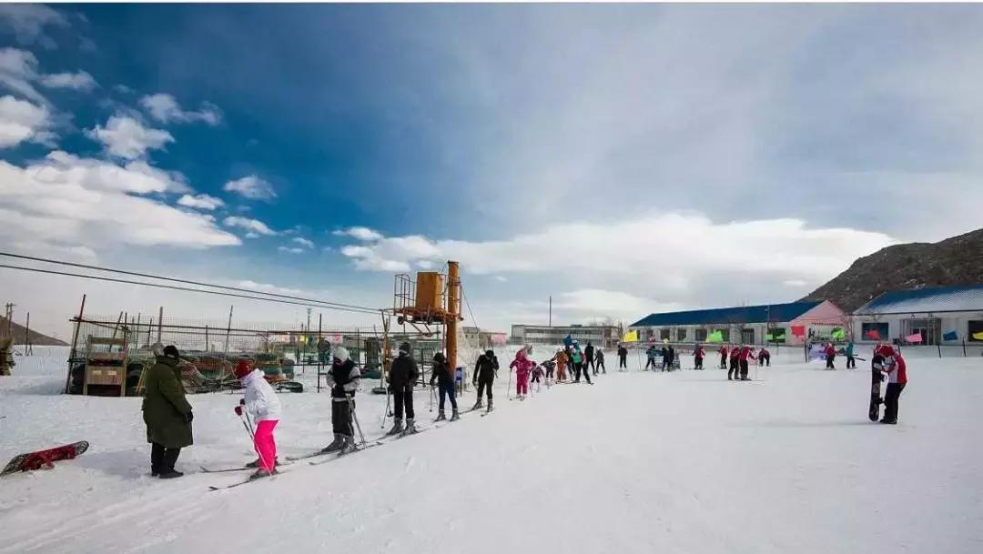 2020宁夏一日游旅游景点推荐,银川一日游最佳地方宁夏海洋公园