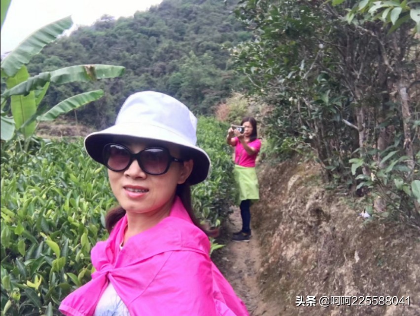 假日山村游玩,假日凤凰山旅游攻略