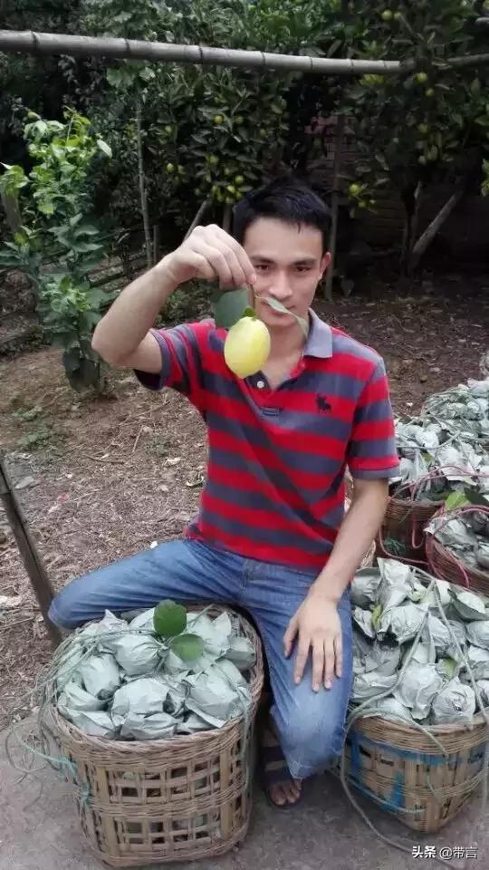 用它美白、泡水、蘸料、拌菜、防虫、擦油腻都好用啊！