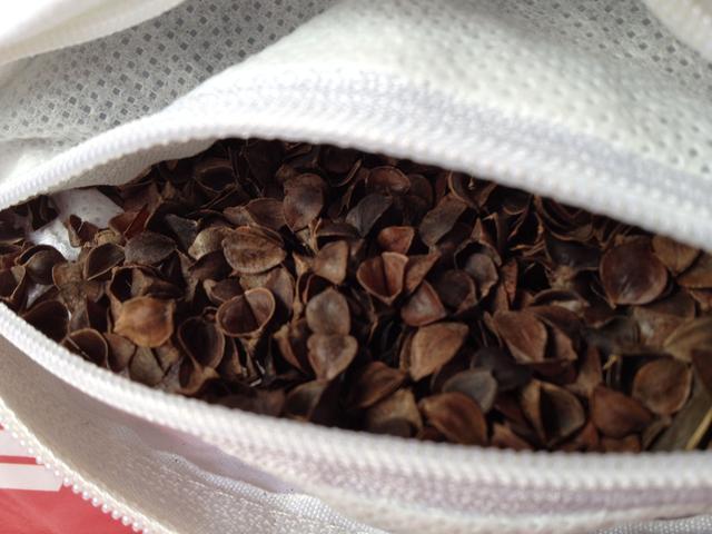 枕头内的荞麦皮放土里能养花吗,晒枕头晒出好多虫子