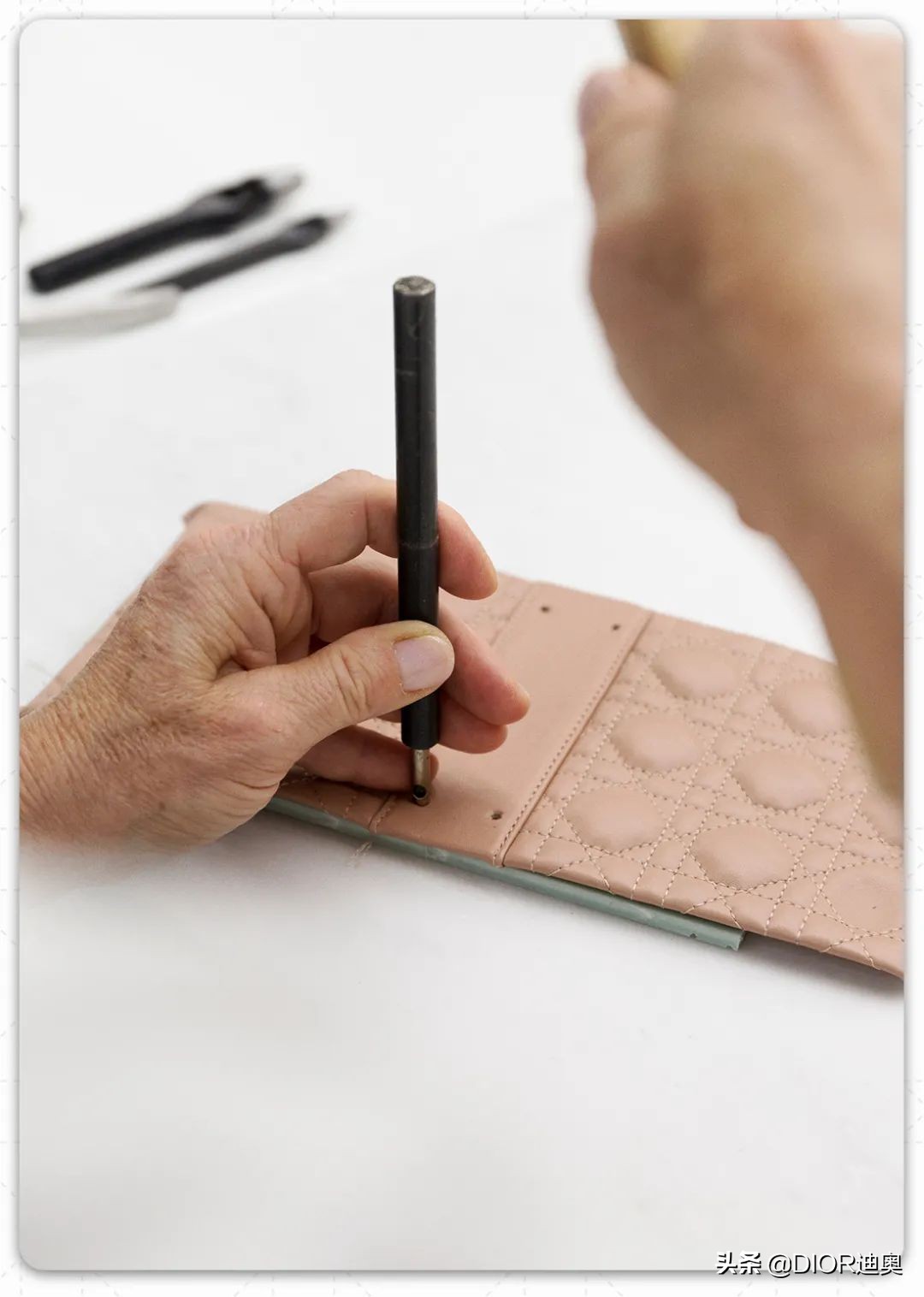 ladydior特别款,ladydior全部款式