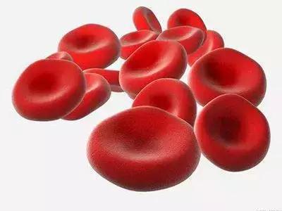 血小板偏高要补气血吗,养血就是养肝吗