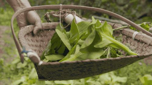 杭州大叔包下一座山谷造民宿,杭州高山樱花民宿