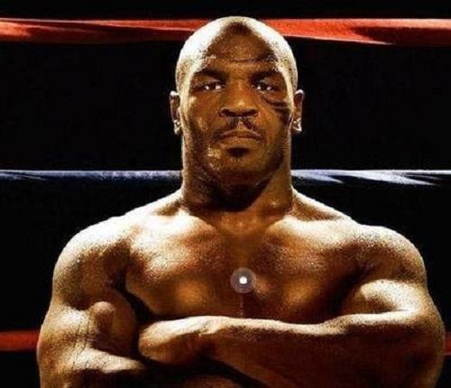 泰森的重拳真能打死一头大水牛吗？如果复出霍利菲尔德会应战吗？