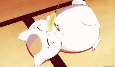 狗狗和狗狗会聊天吗,如何向猫咪表达爱意