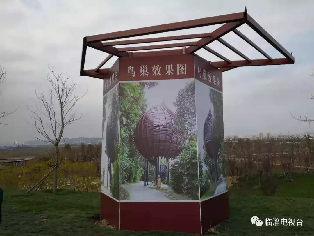 淄博市经济社会发展现场观摩点评,2020年度淄博市经济社会发展