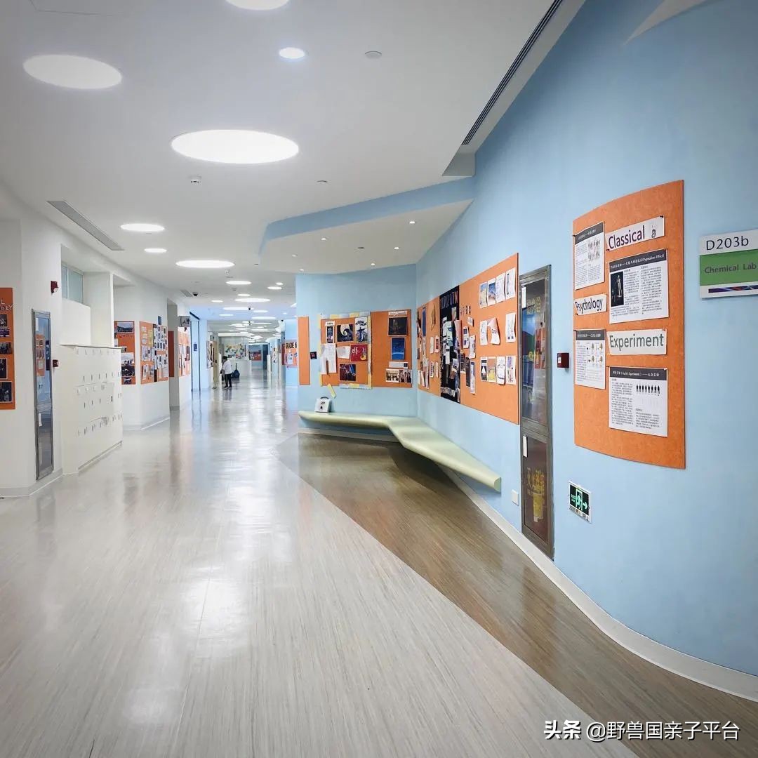 一年20万学费的清澜山学校,都在学些什么?