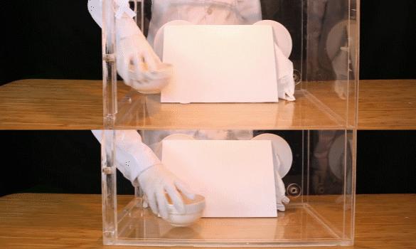 三棵树空气净化器,三棵树刷出的效果