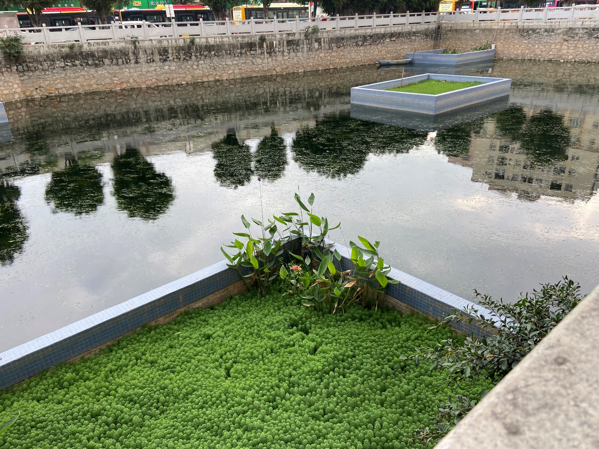 白云红星改造,白云区开展专项整治行动