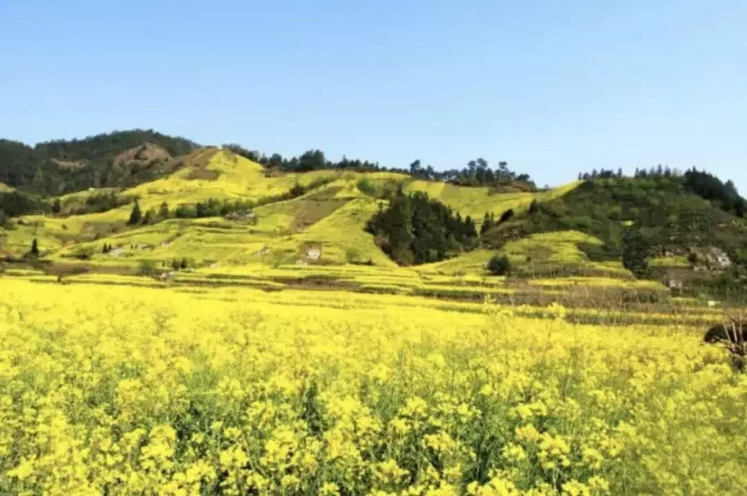 成都小众网红打卡地,成都最值得去的小众打卡地