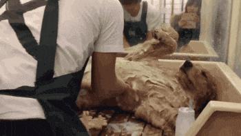 滑稽gif图,鞋子搞笑gif