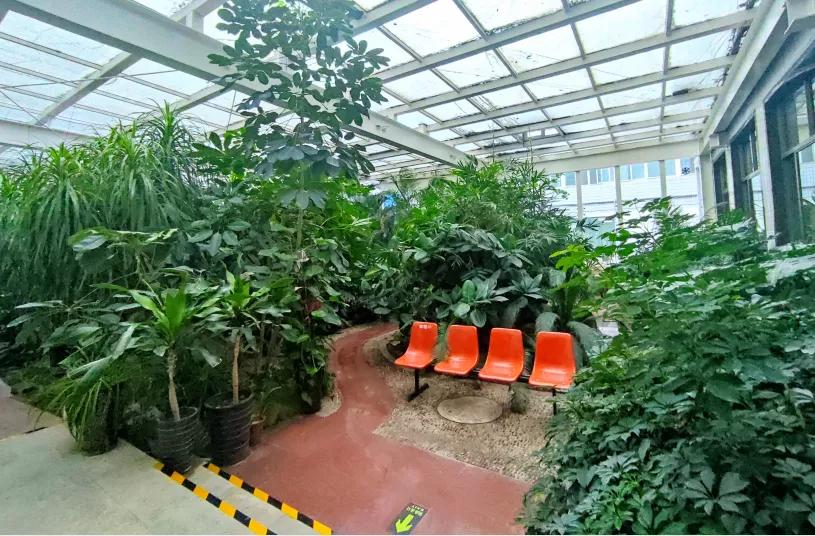 河北省工程大学附属医院义诊,河北大学附属医院体检套餐优惠