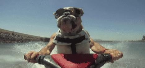 七月出行记录,七月旅行一定要去的地方