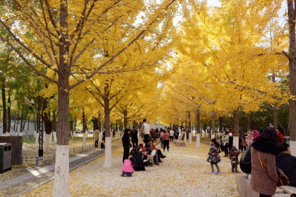 秦皇岛秋天去哪里玩,秦皇岛秋天游玩的景点