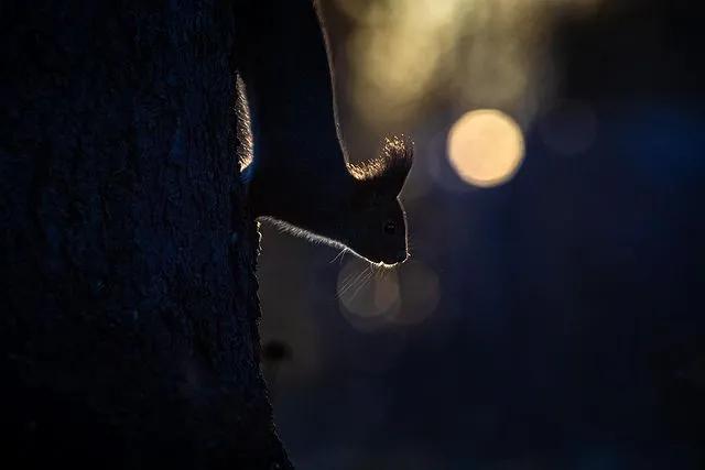 葬礼当天，她成为了四个孩子的“后妈”，网友：这是童话故事吧