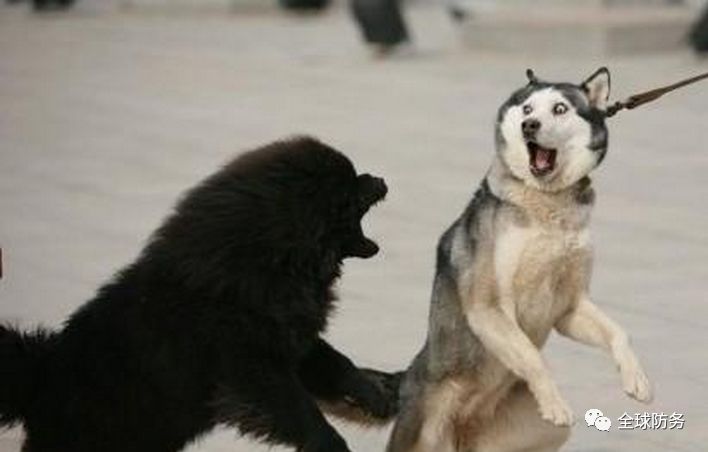 中国最伟大的军事发明,最可笑的军事发明