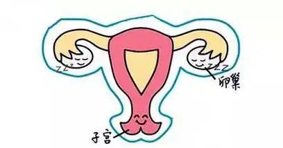 备孕监测排卵的最佳时间,监测成熟卵泡怎么提高怀孕几率