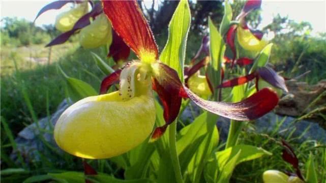 跟它们相比,人类的“*生活性**”无聊至极