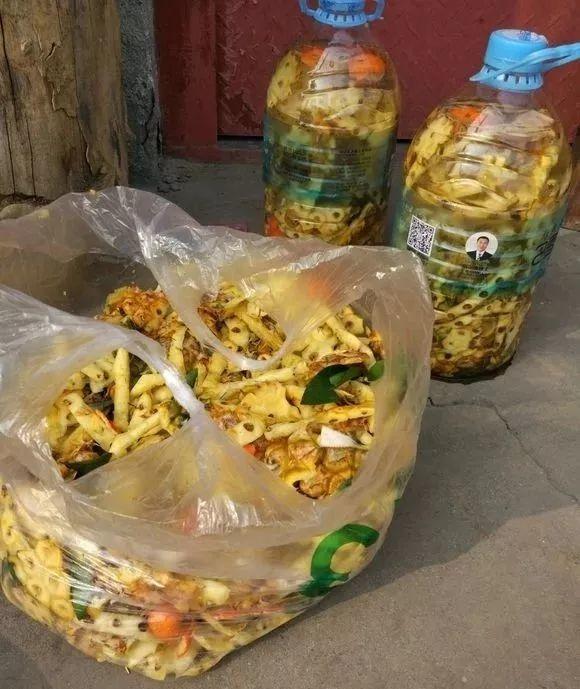 沤肥的最简单方法,豆渣做肥料教你不臭沤肥法