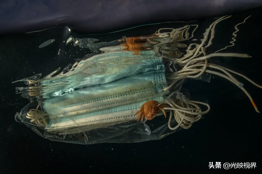 葡萄牙摄影大师获奖自然摄影作品,澳大利亚摄影师经典风景摄影作品