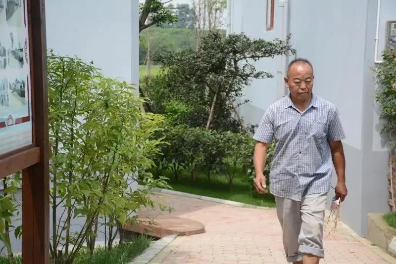 农村人居环境怎么改善,洪安乡村风貌