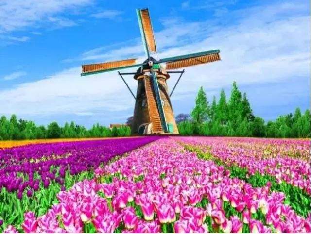 *麻大**味浓的街道，蜂拥的游客—欧洲之旅（五）