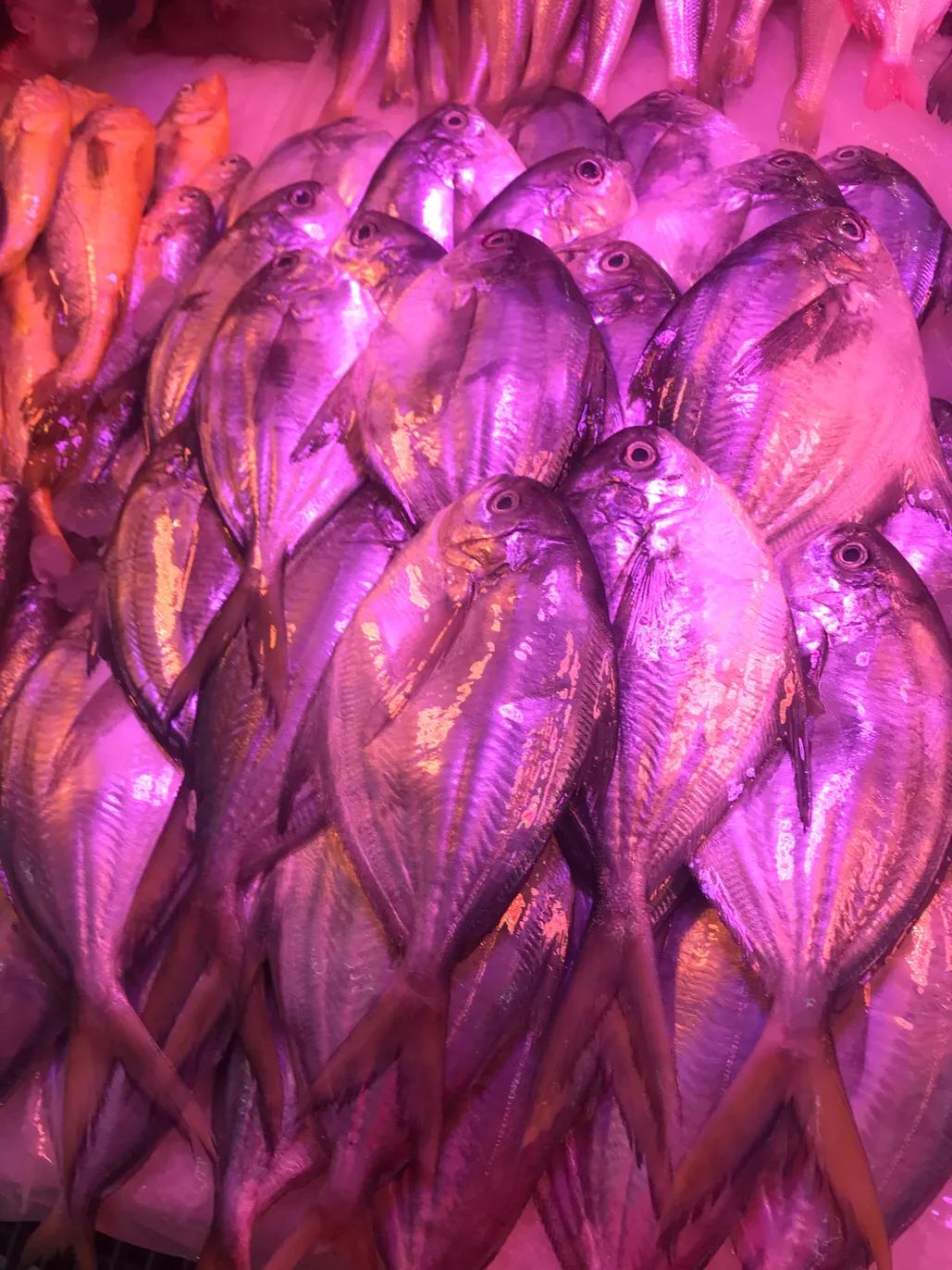 珠海斗门哪里海鲜便宜,吃货必去的海鲜城市