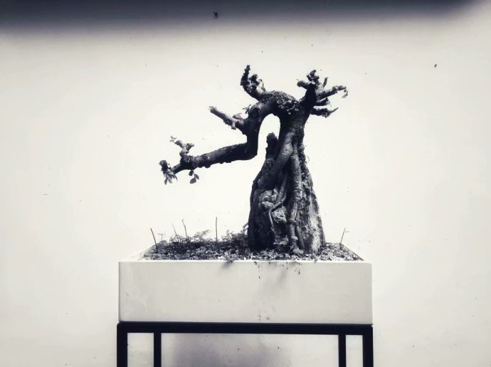 我喜欢现在的自己却怀念以前的我,我喜欢现在的自己清醒独立