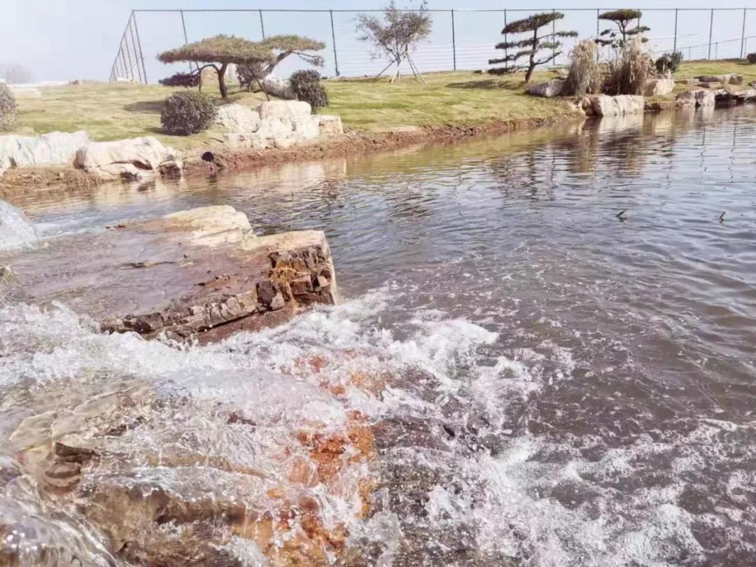 日照足球公园踢足球,日照海边沙滩足球