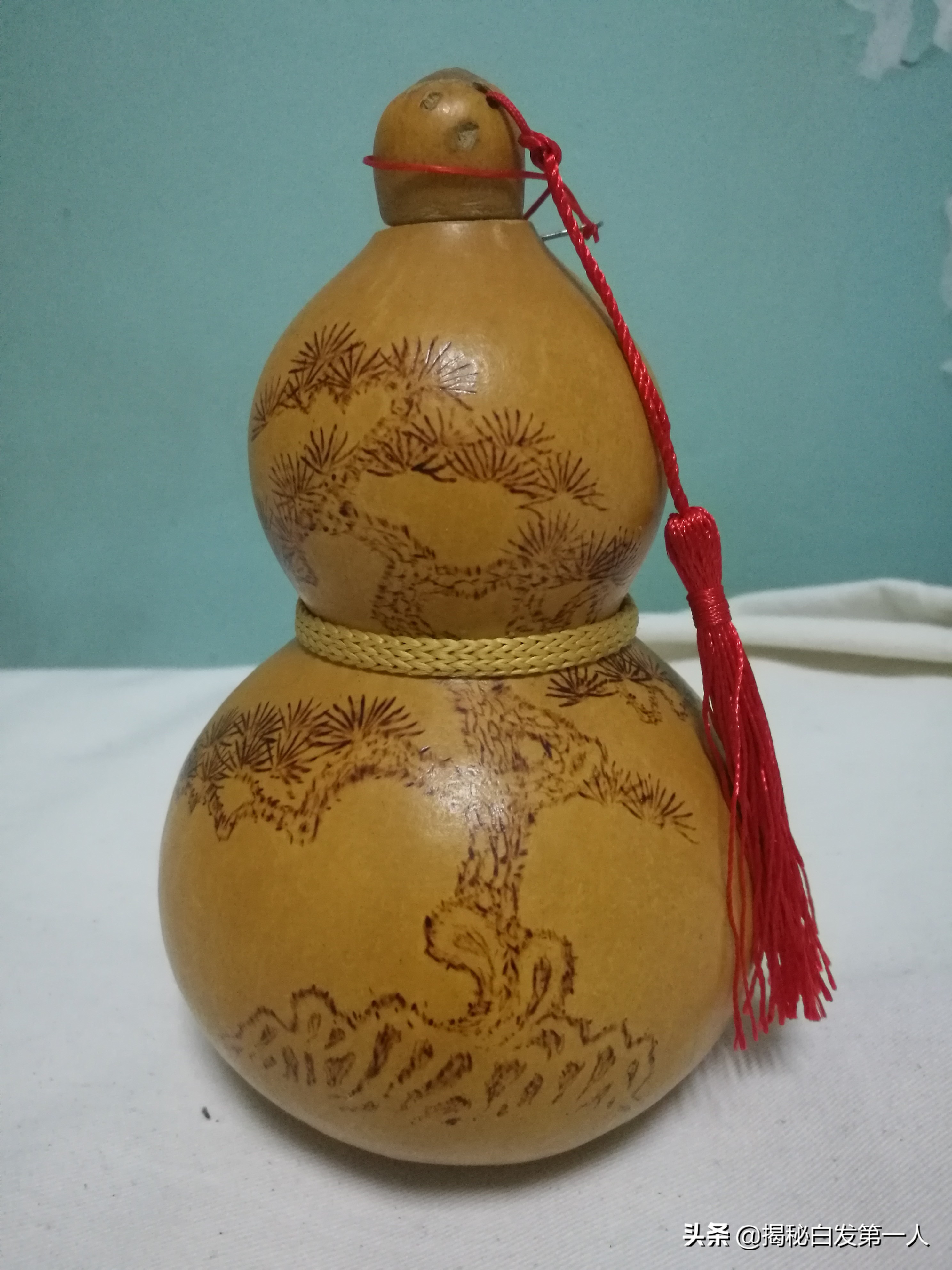 为什么会有黄痰排出,为什么会有黄痰呢