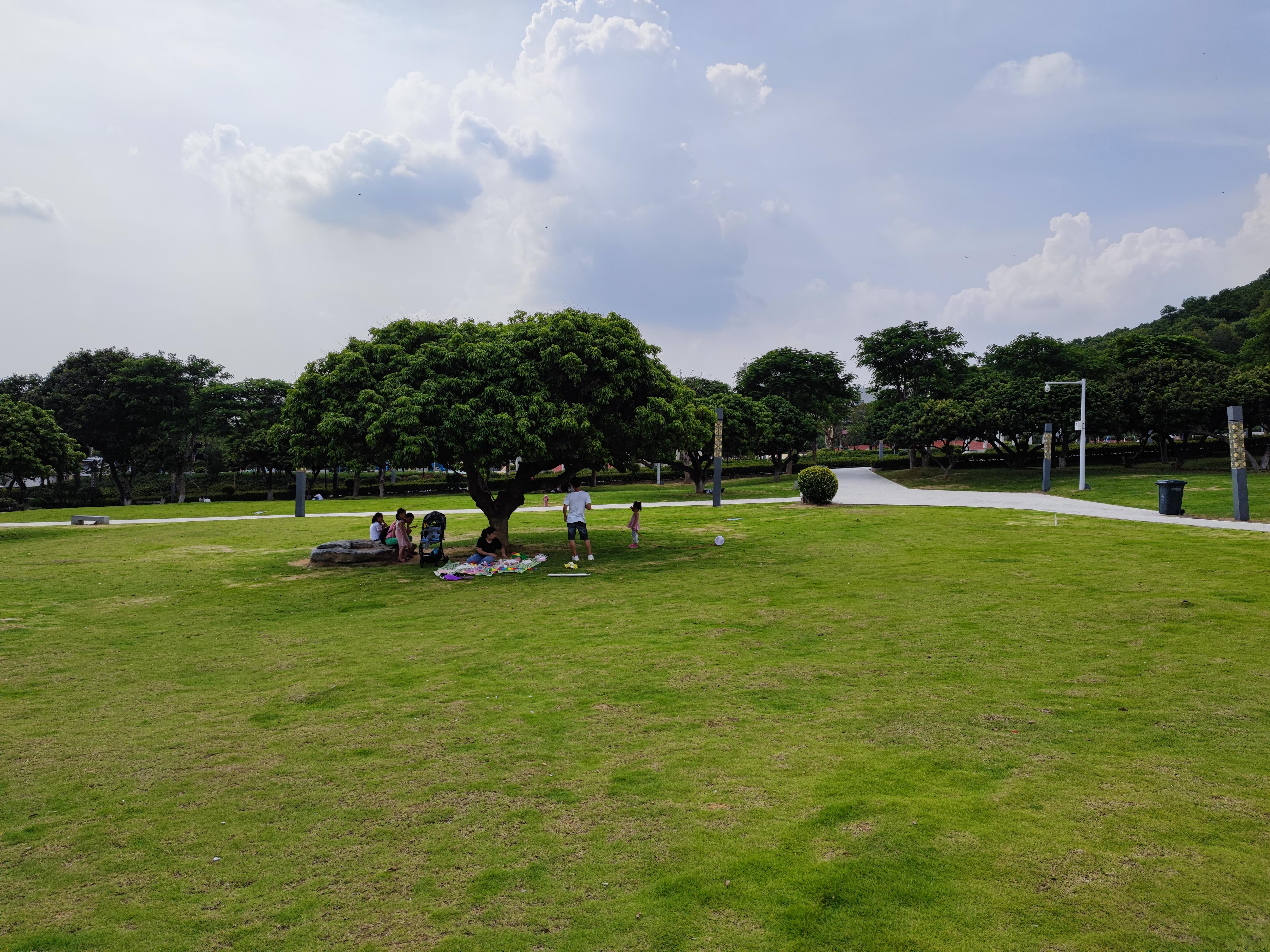 小米mix系列再推新品mix4,小米mix4怎么不是小米顶级旗舰