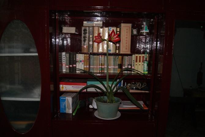 古诗词中的成语大全,诗词里的成语视频