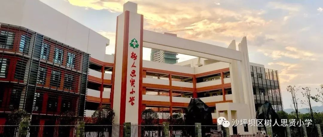 为什么提到树人小学,树人小学为什么好