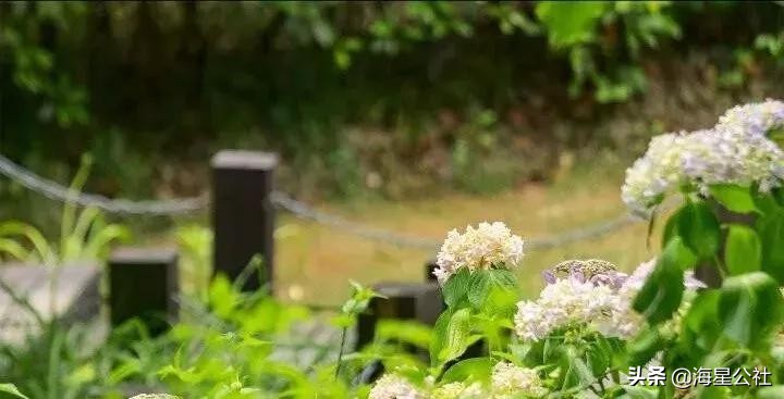 无锡十大免费公园排名榜最新,无锡晚上公园免费景点