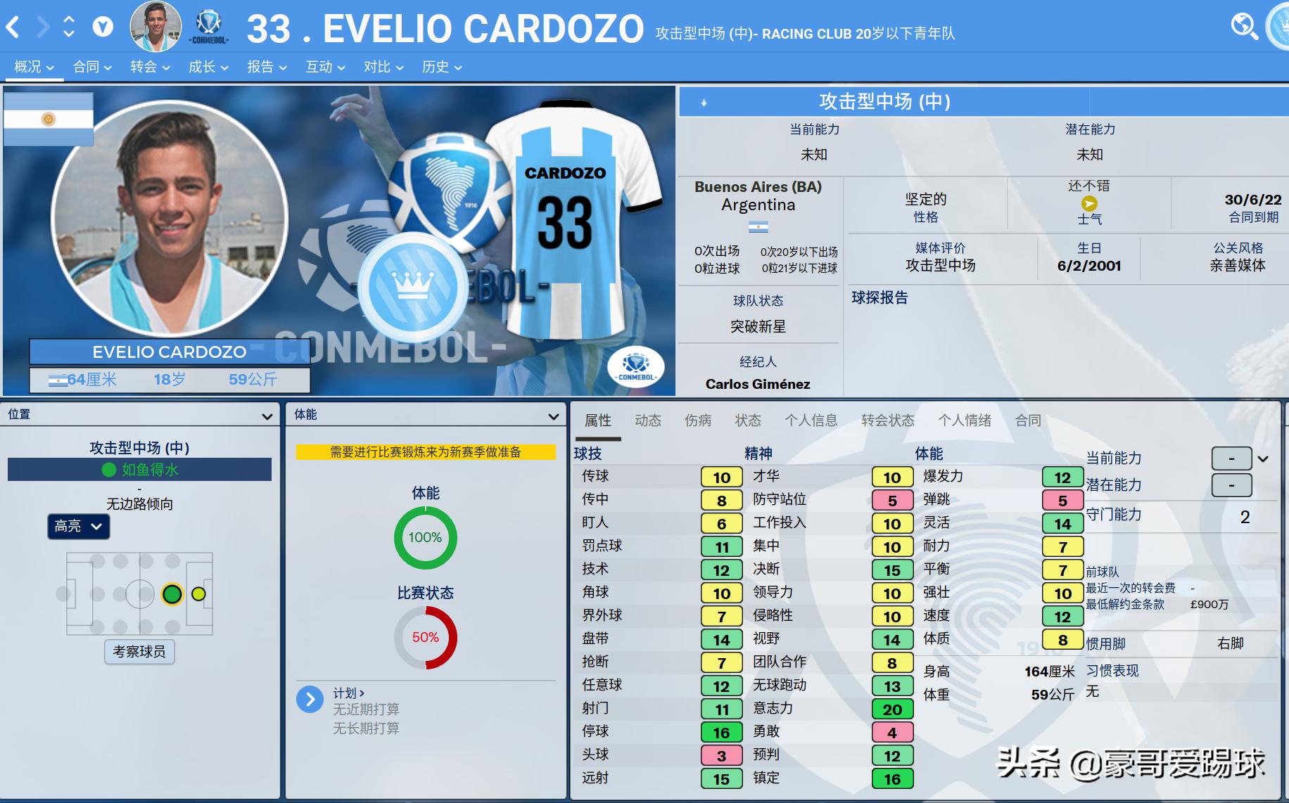 FM2020（足球经理）——来自阿根廷的3只潘帕斯小牛