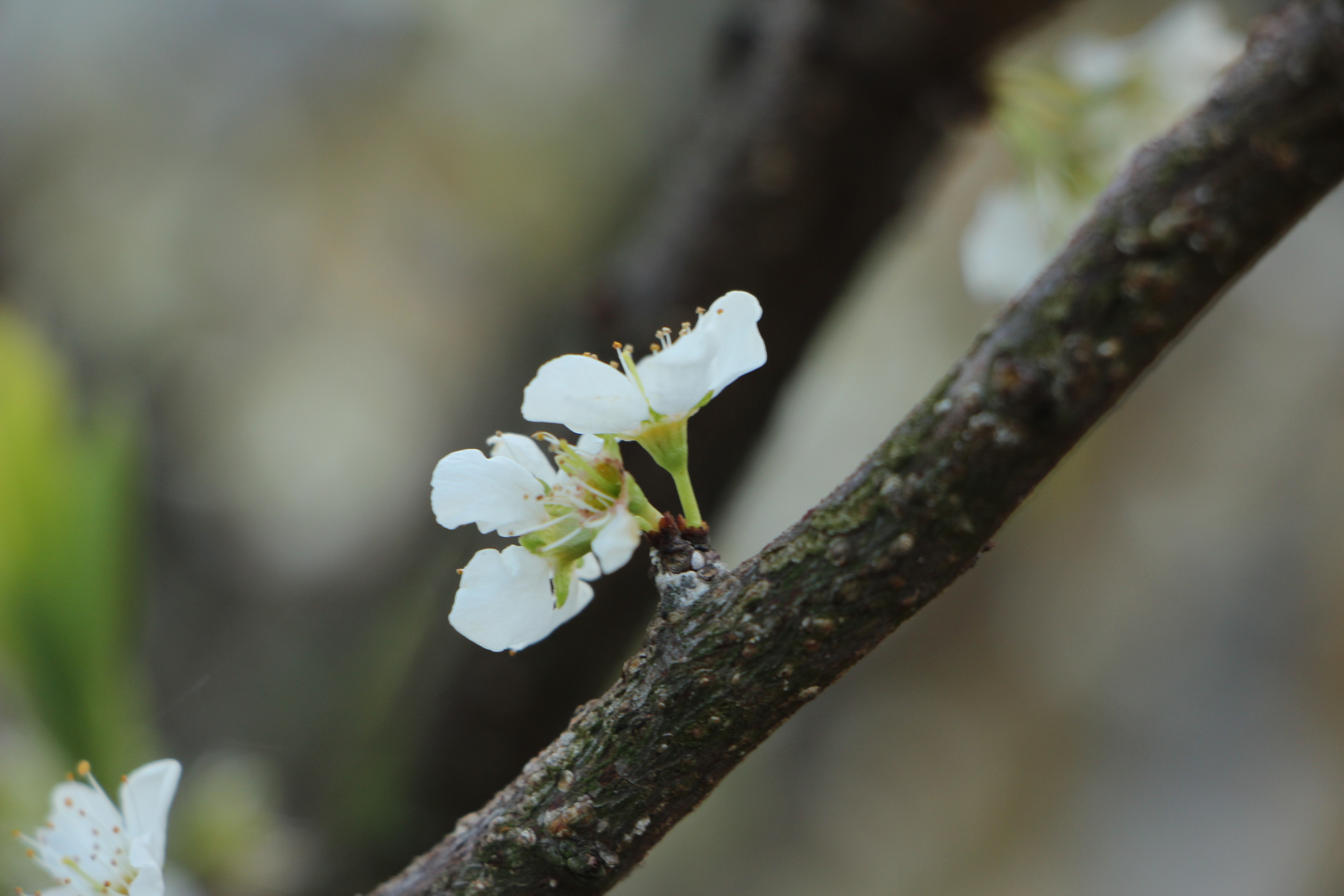 恶有恶报应该怎么做,恶有恶报还能补救吗