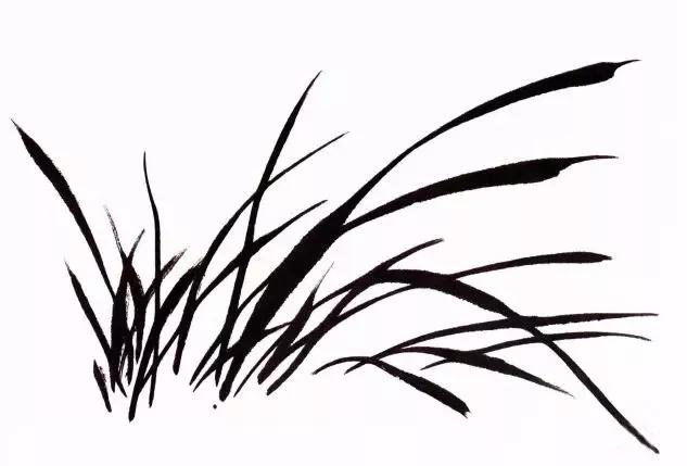 国画兰花绘画图,简单国画兰花画法教程