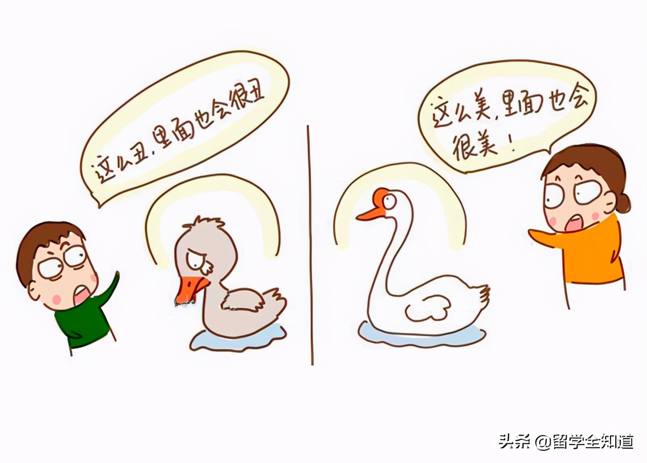 深度｜这个世界不是只有一个学校排行榜