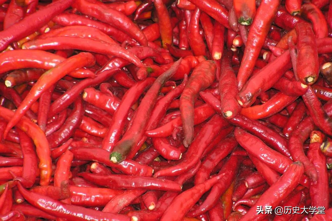 为什么小龙虾成为夜宵之王,小龙虾为什么能成为夜宵之王