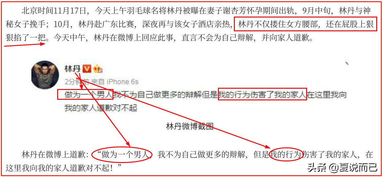 林丹个人感情经历,林丹照片和简介