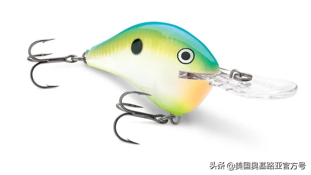 全国渔具展会2021时间表图片,2023国际渔具展会大全一览表