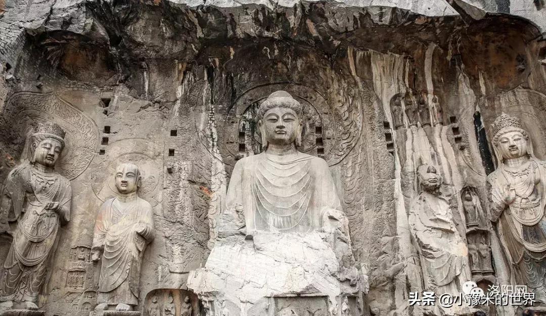 河南洛阳发布最新通知,洛阳牡丹花会向全世界发出邀请